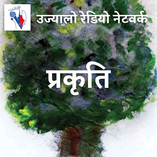 unn com np news download Download programs:: nepal news, nepali samachar | ujyaalo online.